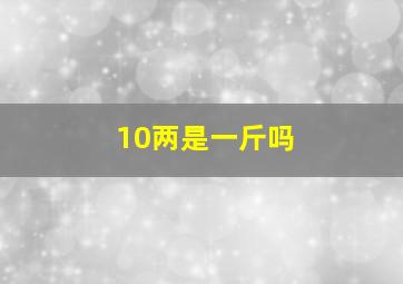 10两是一斤吗