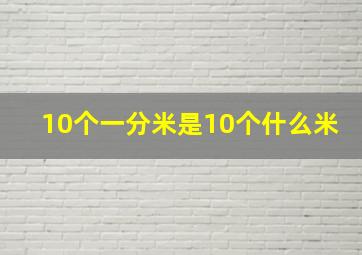 10个一分米是10个什么米