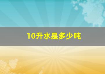 10升水是多少吨