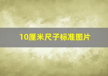 10厘米尺子标准图片