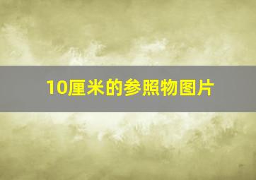 10厘米的参照物图片