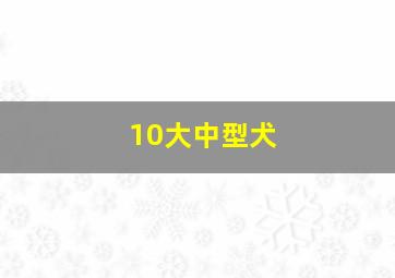 10大中型犬