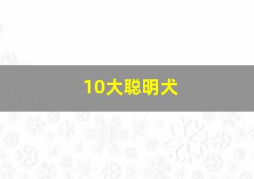 10大聪明犬