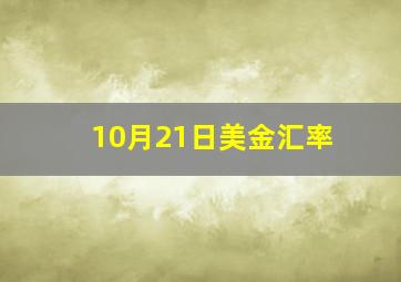 10月21日美金汇率