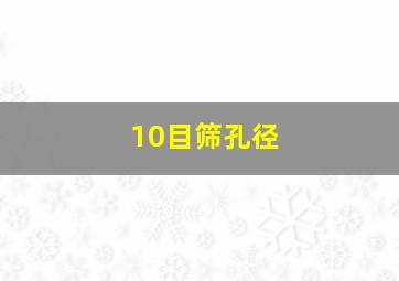 10目筛孔径