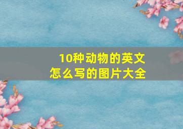 10种动物的英文怎么写的图片大全