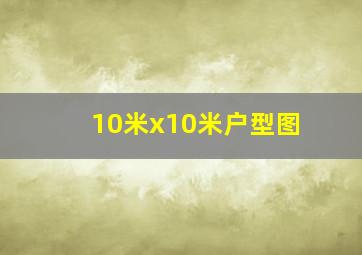 10米x10米户型图