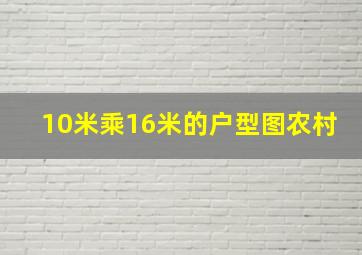 10米乘16米的户型图农村