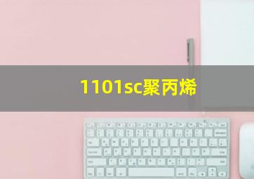 1101sc聚丙烯