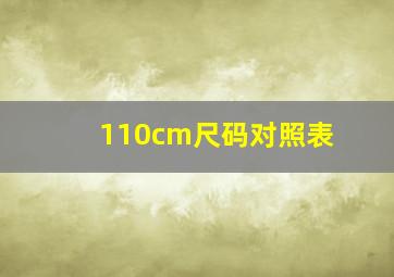 110cm尺码对照表