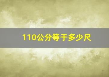 110公分等于多少尺