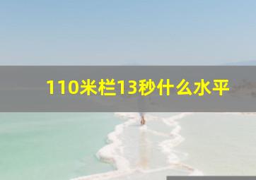 110米栏13秒什么水平