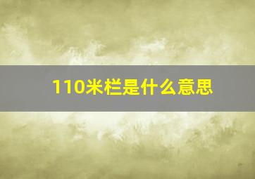 110米栏是什么意思