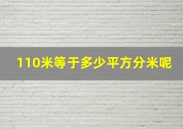 110米等于多少平方分米呢