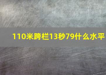 110米跨栏13秒79什么水平