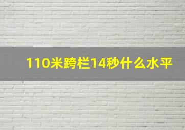 110米跨栏14秒什么水平