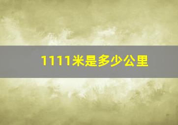 1111米是多少公里