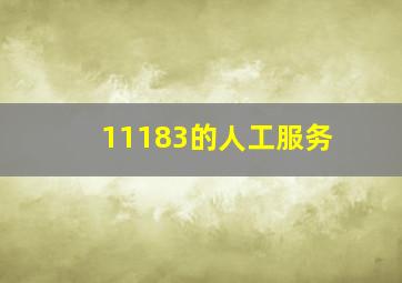 11183的人工服务