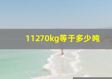 11270kg等于多少吨