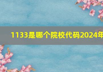 1133是哪个院校代码2024年