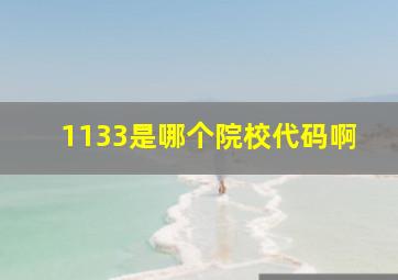 1133是哪个院校代码啊