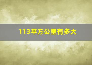 113平方公里有多大