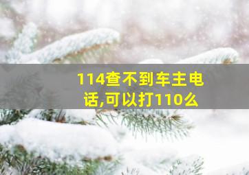 114查不到车主电话,可以打110么