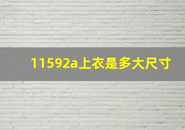 11592a上衣是多大尺寸