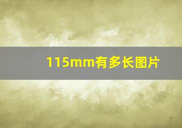 115mm有多长图片