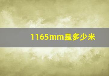 1165mm是多少米