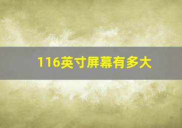 116英寸屏幕有多大