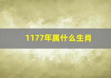 1177年属什么生肖