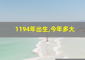 1194年出生,今年多大