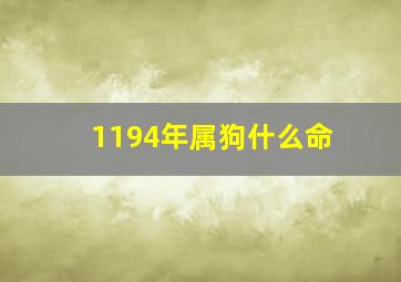 1194年属狗什么命