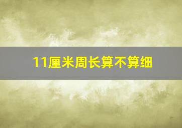 11厘米周长算不算细