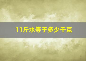 11斤水等于多少千克