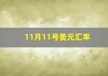 11月11号美元汇率