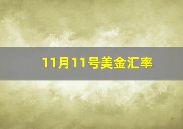 11月11号美金汇率