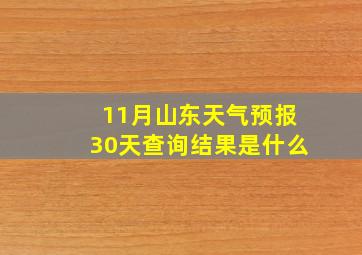 11月山东天气预报30天查询结果是什么