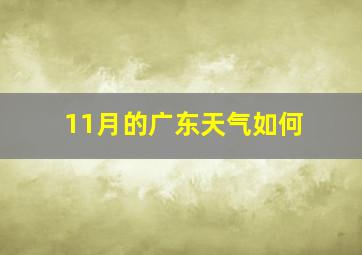 11月的广东天气如何