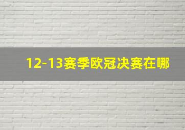 12-13赛季欧冠决赛在哪