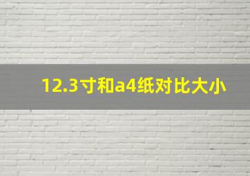 12.3寸和a4纸对比大小