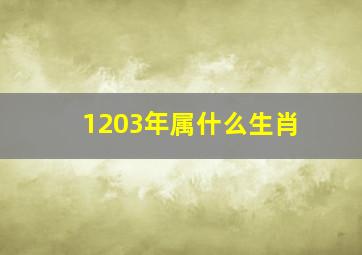 1203年属什么生肖