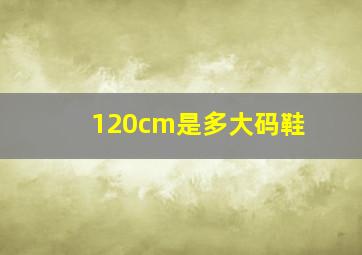 120cm是多大码鞋