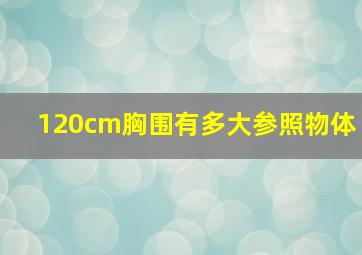 120cm胸围有多大参照物体