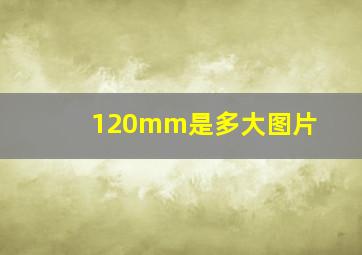 120mm是多大图片