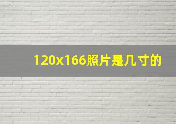 120x166照片是几寸的