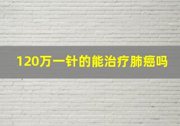 120万一针的能治疗肺癌吗