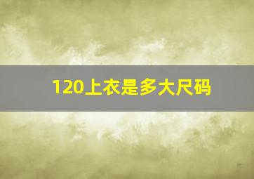 120上衣是多大尺码