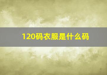 120码衣服是什么码